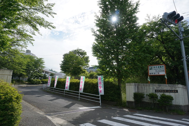 小学校　仙台市立泉ヶ丘小学校（小学校）まで181m