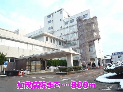 その他　加茂病院（その他）まで800m
