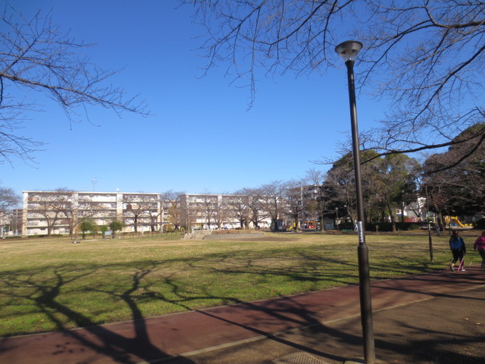公園　花畑記念公園（公園）まで240m