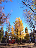 公園　西永福公園（公園）まで237m