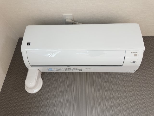 プラシッド ピュールのその他写真