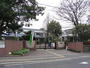 幼稚園・保育園　本川幼稚園（幼稚園・保育園）まで235m