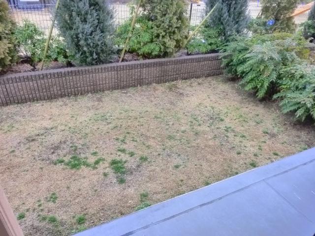 その他　専用庭