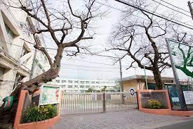 小学校　等々力小学校（小学校）まで311m