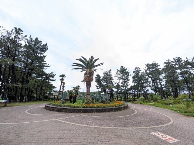 公園　辻堂海浜公園（公園）まで891m