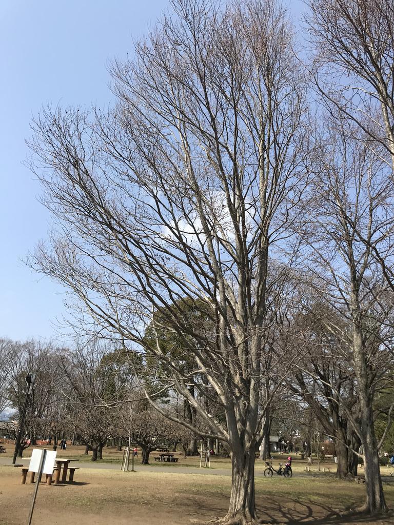公園　わかぐさ公園（公園）まで492m