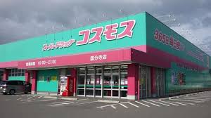 ドラックストア　ドラッグストアコスモス 国分寺店（ドラッグストア）まで1302m