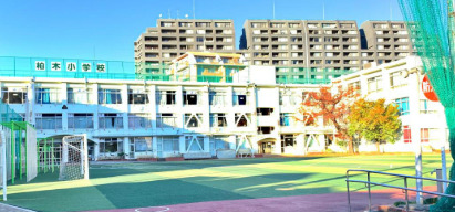 小学校　新宿区立柏木小学校（小学校）まで613m