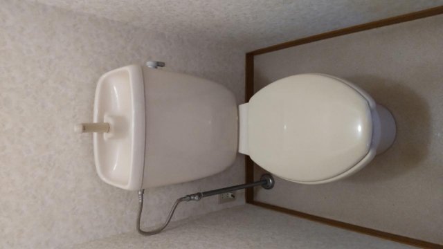 トイレ　落ち着いた色調のトイレです