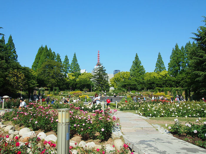 公園　靱公園（公園）まで1627m
