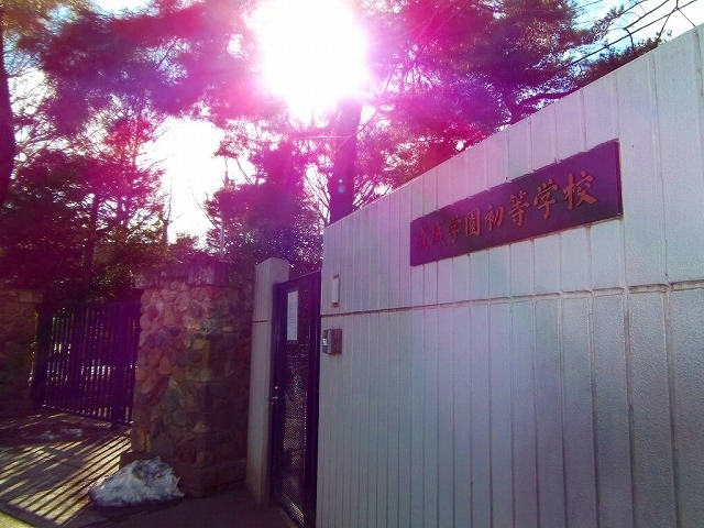 小学校　私立成城学園初等学校（小学校）まで456m
