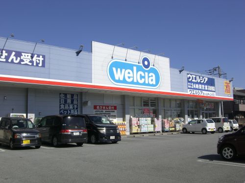 ドラックストア　ウェルシア薬局甲府若松店（ドラッグストア）まで962m