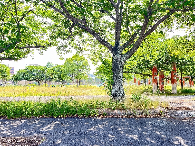 公園　☆紫川河畔公園（公園）まで1250m