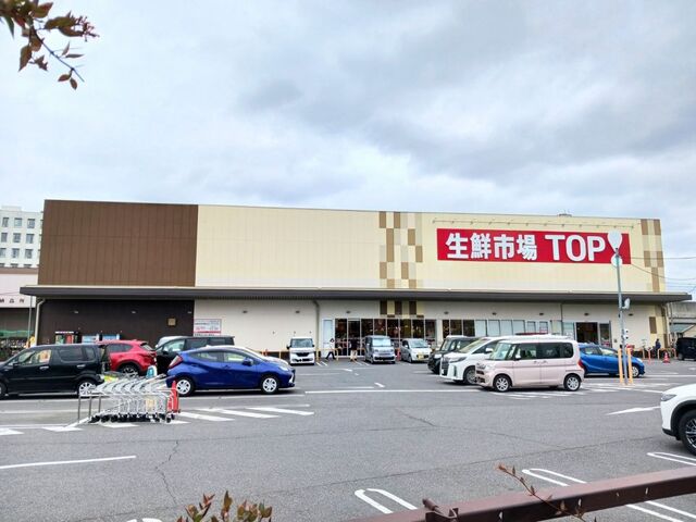 スーパー　TOPセントラルパーク店（スーパー）まで650m