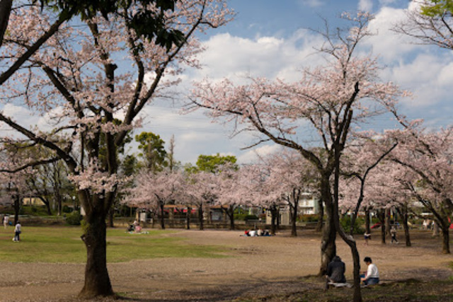 公園　府中公園（公園）まで1292m