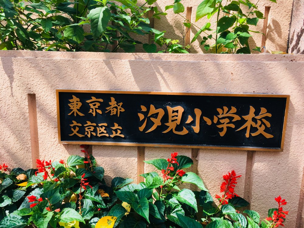小学校　文京区立汐見小学校（小学校）まで110m