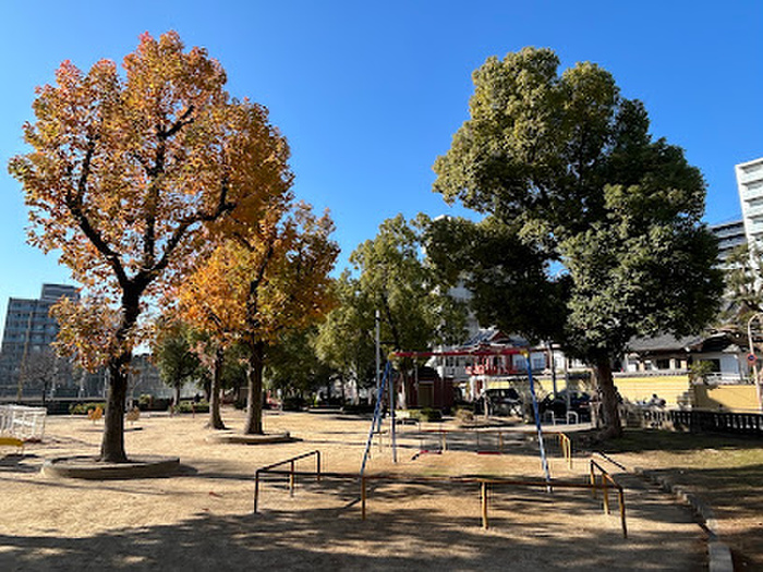 公園　松島公園（公園）まで260m