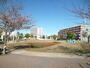公園　曳舟川親水公園（公園）まで688m
