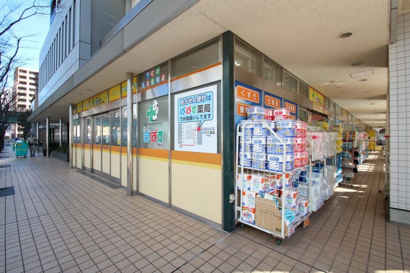 ドラックストア　どらっぐぱぱす月島店（ドラッグストア）まで162m