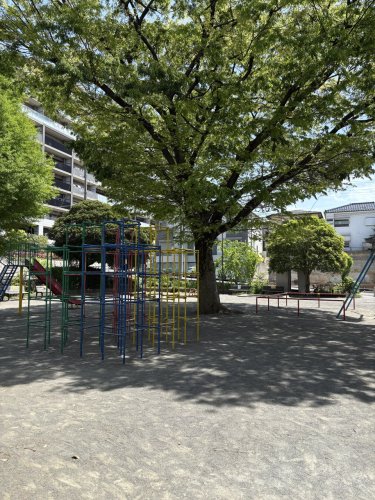 公園　新子安一丁目公園（公園）まで1366m