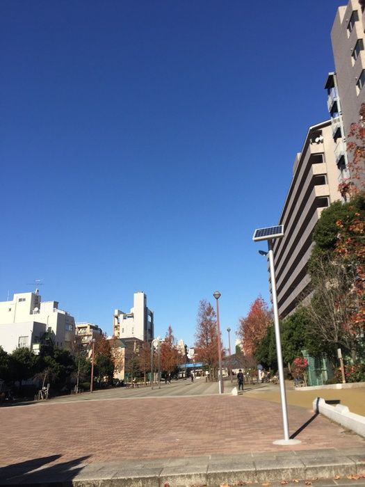 公園　大横川親水公園（公園）まで300m