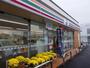 コンビニ　セブンイレブン 和田河原駅前店（コンビニ）まで553m