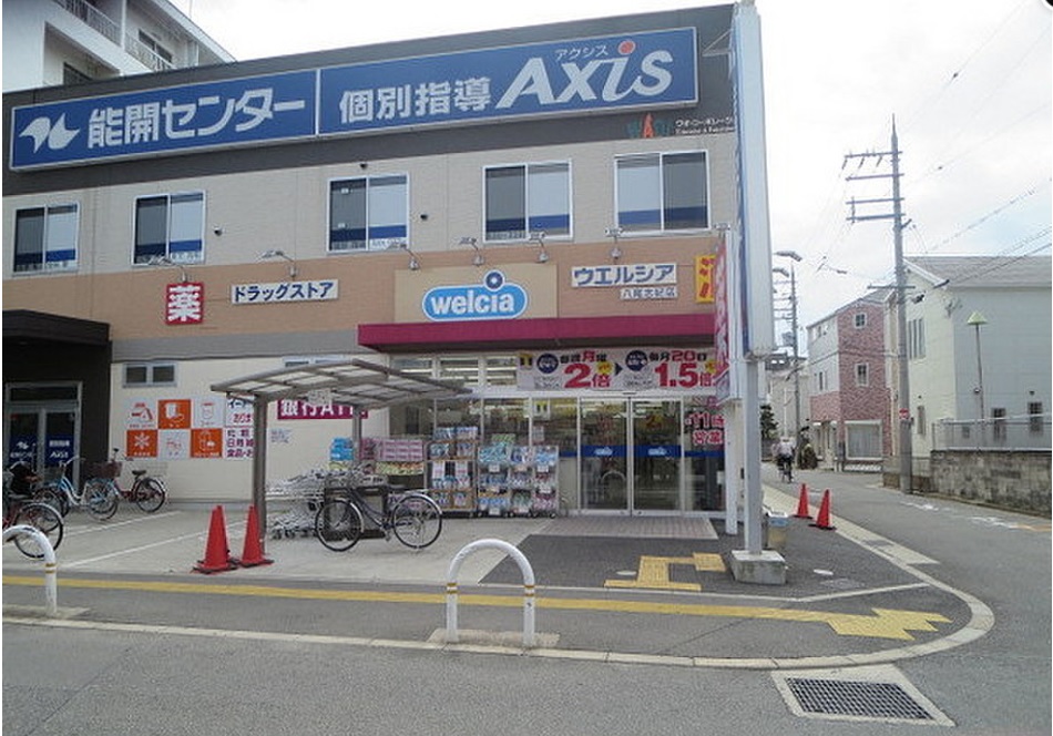 オリーブの周辺写真