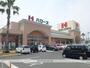 スーパー　ハローズ津高店（スーパー）まで121m