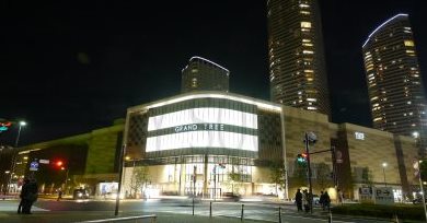 ショッピングセンター　GRAND TREE MUSASHIKOSUGI(グランツリ（ショッピングセンター）まで3925m