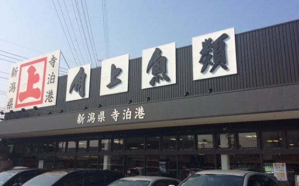 ＪＲ武蔵野線 東浦和駅 徒歩26分 3階建 築10年の周辺写真