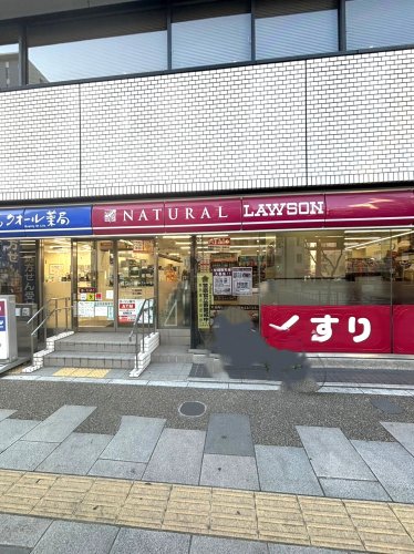 コンビニ　ナチュラルローソン NL東上野五丁目店（コンビニ）まで1451m