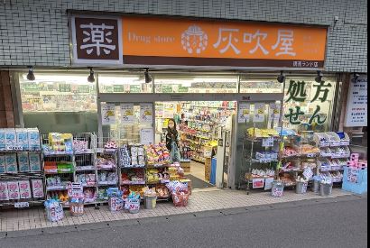 ドラックストア　灰吹屋薬局読売ランド店（ドラッグストア）まで506m
