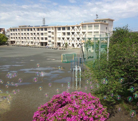 小学校　藤沢市立村岡小学校（小学校）まで403m