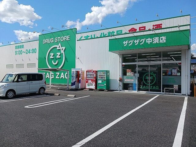 ドラックストア　ザグザグ中須店（ドラッグストア）まで1100m