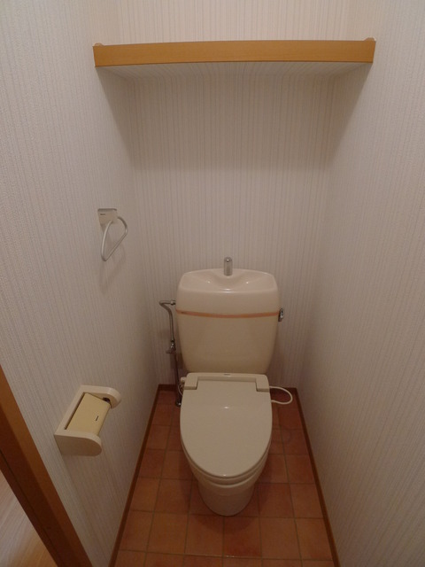 レイクヒル花園B棟のトイレ写真