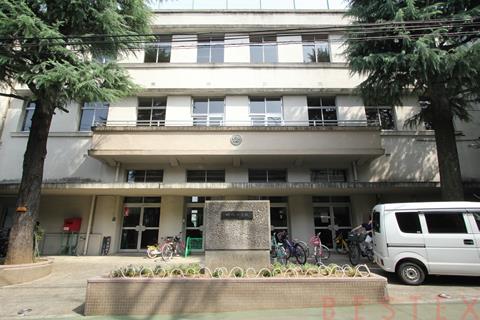 小学校　文京区立明化小学校（小学校）まで706m