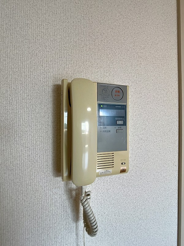 LOTUS MARSH元今泉のその他写真