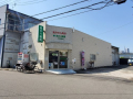 ドラックストア　あかり薬局　井高野店（ドラッグストア）まで206m