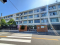 小学校　大阪市立井高野東小学校（小学校）まで466m