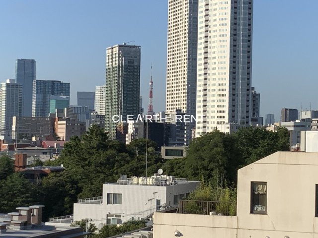 眺望　綺麗に東京タワーが見えます