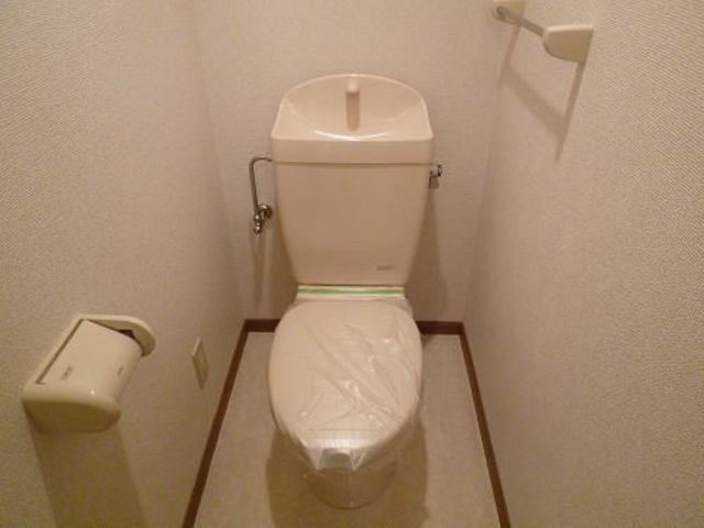 メゾンフロール 3のトイレ写真