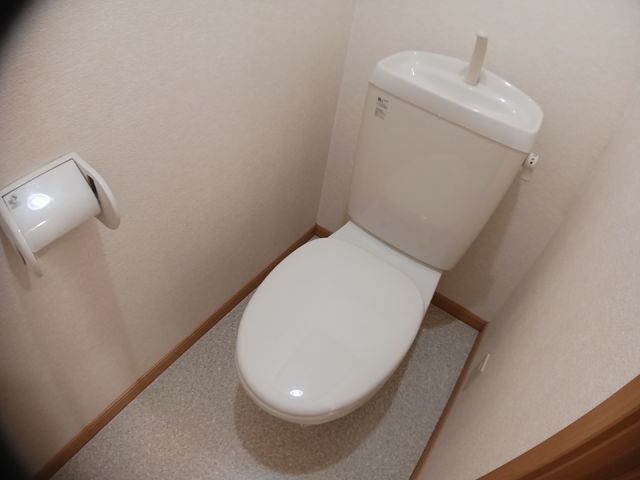 ブリック メゾン 金剛のトイレ写真