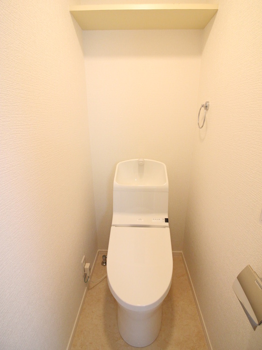 ハウス・Yのトイレ写真