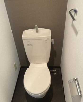 ＪＲ埼京線 浮間舟渡駅 徒歩6分 5階建 築18年のトイレ写真