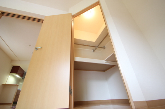 収納　※別部屋の写真です