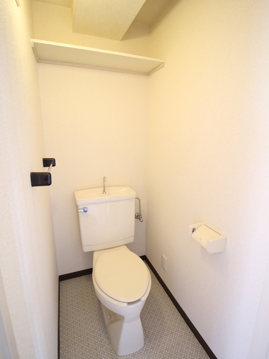 メゾン・ド・エイシンのトイレ写真