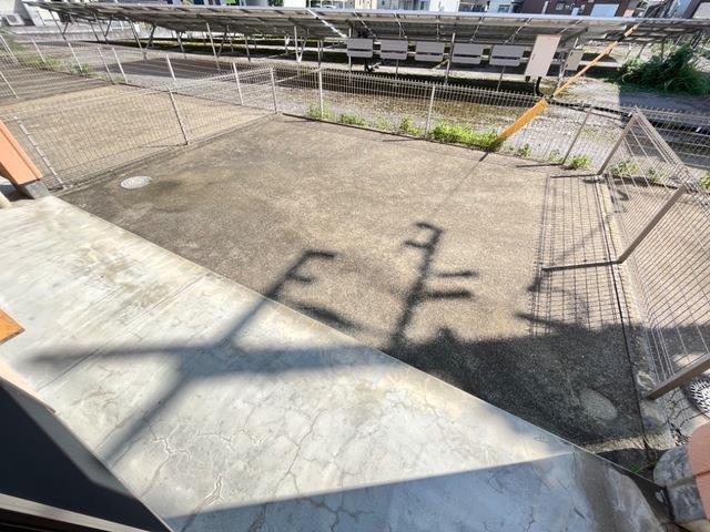 庭