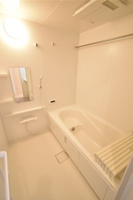 バス・シャワールーム　広いタイプです