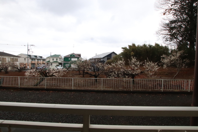 眺望　バルコニーからの景色です♪