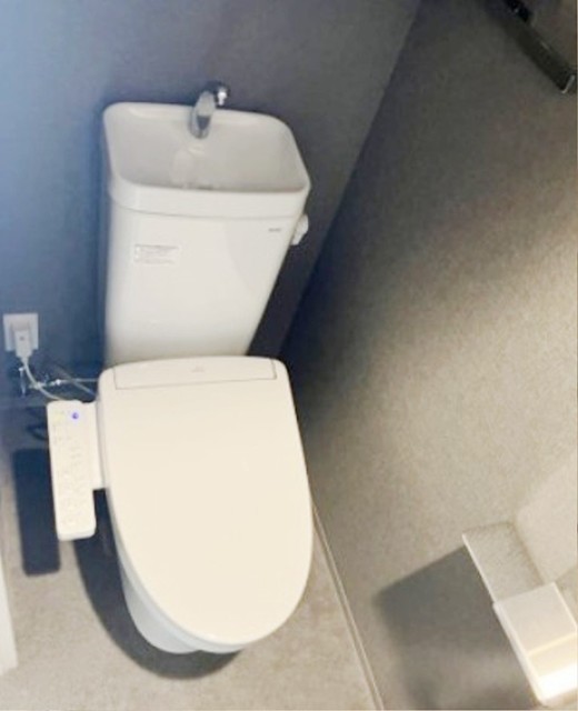 トイレ　同仕様写真